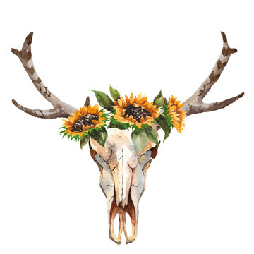 Watercolor isolated bull's head with flowers and feathers on white background. Boho style. Skull for wrapping, wallpaper, t-shir