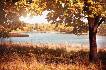 Obraz na płótnie Canvas autumn landscape