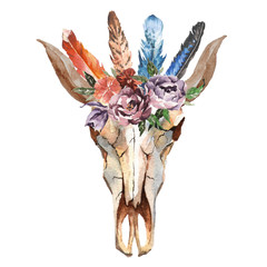 Watercolor isolated bull's head with flowers and feathers on white background. Boho style. Skull for wrapping, wallpaper, t-shirts, textile, posters, cards, prints
