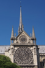 Fototapeta na wymiar Flèche et rosace de Notre-Dame de Paris