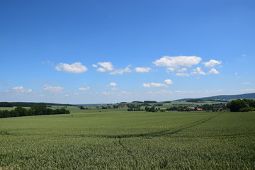 Sommerfelder im Weserbergland