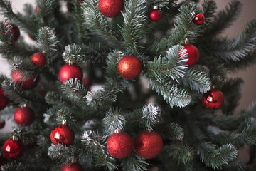 Blurred Christmas tree with red balls background