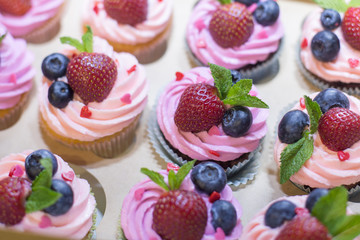 Delicious Cupcake with berries in box