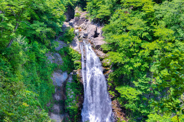 初夏の大滝