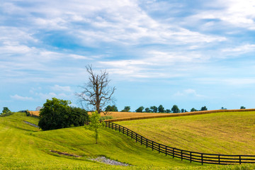 Country landscape.