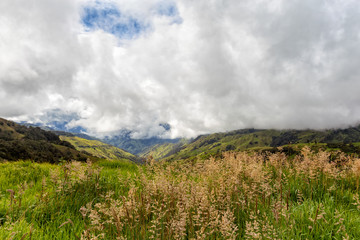 Clouds gathered in the mountains outside of Salento, Colombia.