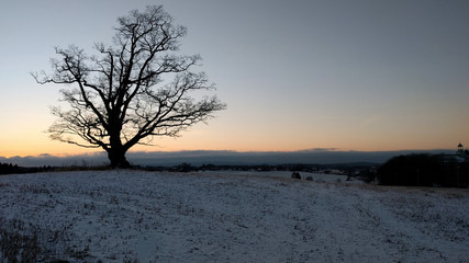 Sunset with Oak in Norway