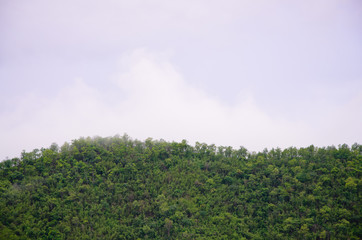 The forest at the front of the mountains in the fog and low lying cloud; Thailand