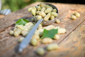 white mulberries