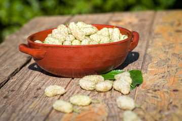 Delicious fresh white mulberries fruits from the farm
