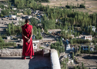 Möch am Kloster Thiksey in Ladakh 