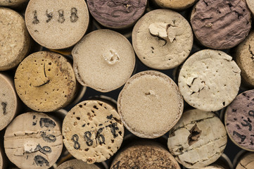 Close up shot of dated wine bottle corks