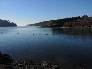 Port Belon (Morbihan)
