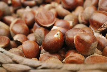 Basket of fresh harvested sweet or Spanish chestnuts, selective focus