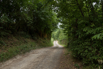 Boschi di Licciana Nardi