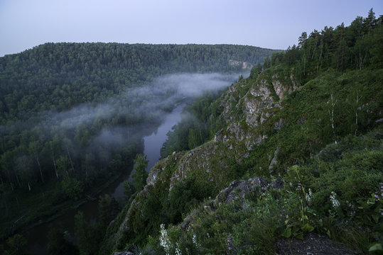 Mountain forest landscape. Trees and the river in the fog in the early morning.