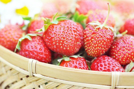 Basket of fresh ripe sweet strawberries with daisies