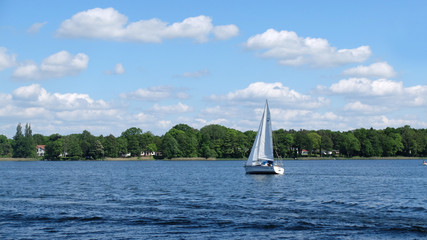 Fototapeta premium Segeln auf dem Ruppiner See
