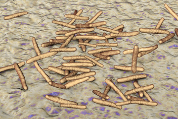 Mycobacterium avium-intracellulare, MAI, non-tuberculous mycrobacteria which cause opportunistic infections in HIV-infected patients, 3D illustration