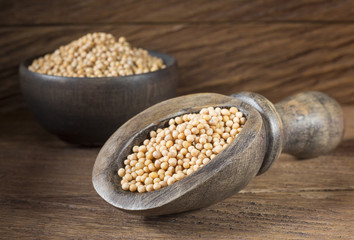 Yellow Mustard Seeds - Sinapis alba