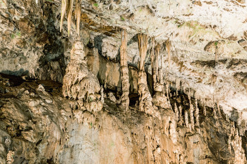 Punkva Cave in the Moravian Karst Area near Brno, Czech Republic. An incredible stalactite in the Moravian Karst