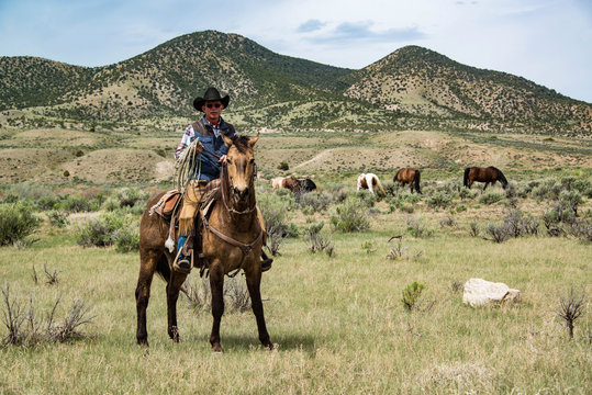 Cowboy wrangler ranch hand with rope on working horse on sage brush prairie  Stock Photo | Adobe Stock