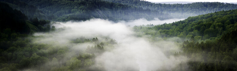 Panele Szklane Podświetlane  Krajobraz górski las. Sosny we mgle we wczesnych godzinach porannych. Zdjęcie panoramiczne