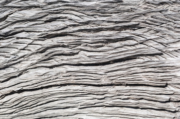 Rustikale Holz Textur / Rustikaler grauer Holz Hintergrund mit Struktureffekt.