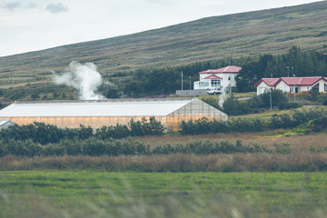 Geothermal greenhouses in Iceland