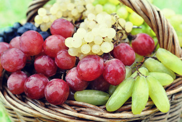 Crate of fresh wet colorful grapes in wicker basket