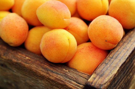 Crate of fresh ripe sweet apricots, selective focus
