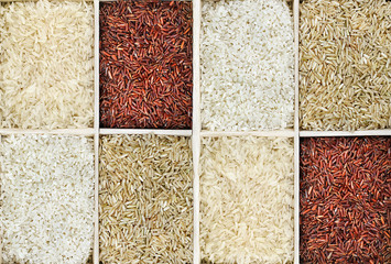 Mix of rice grains varieties: white, red, brown and mixed seeds