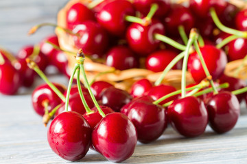 Fresh orange ripe of cherries in the foreground and a bunch of cherries in the basket in the background. Selective focus