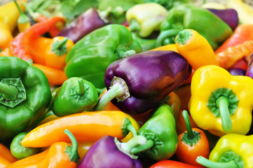 Crate of colorful fresh harvested bell peppers, selective focus