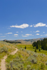 Fototapeta na wymiar Path in Yellowstone National Park, Wyoming, USA.
