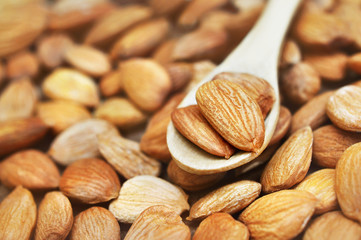 Apricot kernels in wooden spoon on kernels background