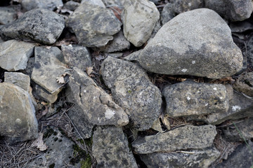 piedras grises del suelo de un bosque