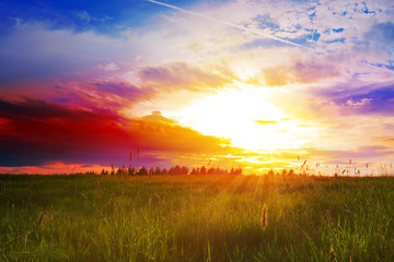 Fototapeta na wymiar Beautiful sunset over the green large field.