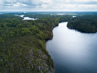 Rocky coast of the lake with a pine forest. Top view.