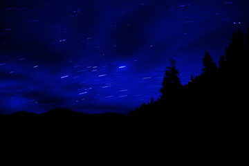 Star Trails in forest with Mountains