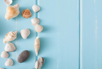 Fototapeta na wymiar Seashells on blue wood, sea vacation background