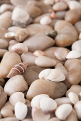 Sea pebbles background, natural seashore stones