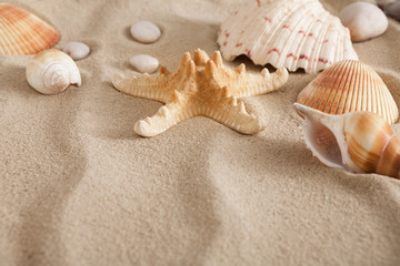 Naklejka na ściany i meble Sea beach sand and seashells background, natural seashore stones and starfish