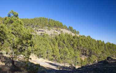 Fototapeta na wymiar Gran Canaria, the highest areas of the island, Las Cumbres