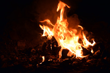 Night camp fire