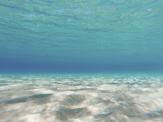 Fototapeta na wymiar Mondo sommerso in Sardegna, spiaggia di Chia sott'acqua