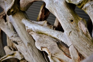 different faces of the ancient wood - close up view