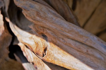 different faces of the ancient wood - close up view