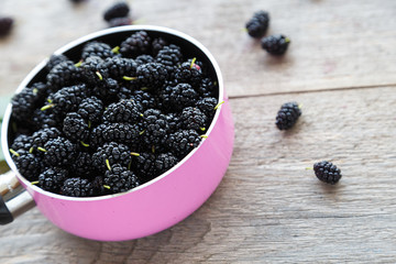 berries black mulberry