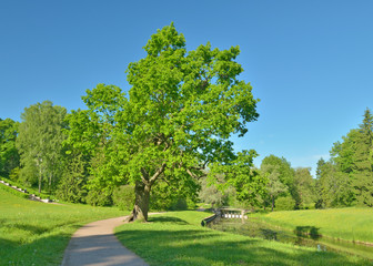 The natural landscape in the spring.